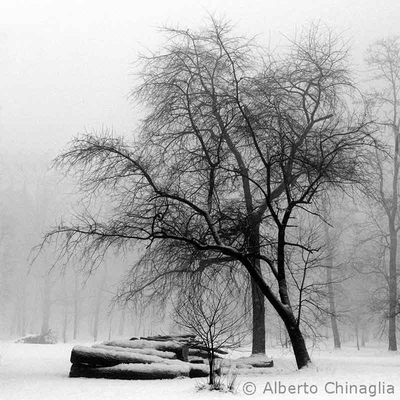 Copyright Alberto Chinaglia