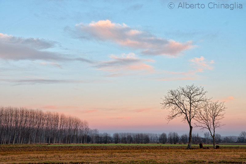 Copyright Alberto Chinaglia